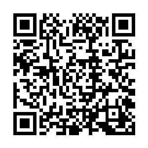 根本无人去理会莫雨在先前那瞬展现出来的实力境界二维码生成