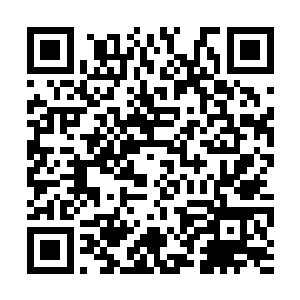 根本没办法和林大圣可以操控的那些蛇族妖女抗衡二维码生成