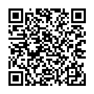 根本没怎么在意这段时间马特买鱼饵的钱比以往少了一些二维码生成