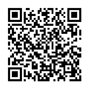 根本没想到大长老竟然会不顾一切地与自己拼命二维码生成