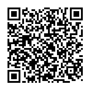 根本没有人能够预料到雨果那一个心血来潮到底开辟什么样的历史篇章二维码生成