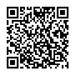 根本没有什么人认为九幽宫的长老有半分胜利的可能二维码生成