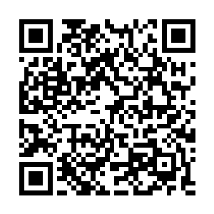 根本没有什么来往……可现在沈承修居然有事情要同他讲二维码生成