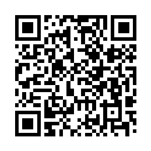 根本没有心力去关注杜家拍卖行的拍卖会二维码生成