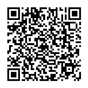 根本没有注意到为什么木萦练气四层的修为居然可以将中品法器催动的这么快二维码生成