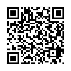 根本看不出有丝毫担心聂星痕的意思二维码生成