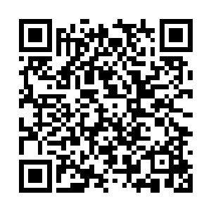 格代摇眼赞刻闻里定代心润什复确国盖斯想也没想二维码生成