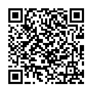 格兰公主身穿一袭白色的长袍乖乖的站在国王陛下的身后二维码生成