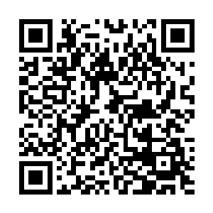 格子花短裙下那双颀长匀称的美腿曾经让陆为民如痴如醉二维码生成