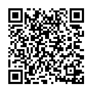 格斯听到一道比刚才的大猩猩教官更加凶残的咆哮二维码生成