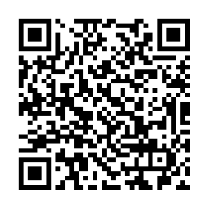 格斯和格蕾也只能相信油腻胖子就是他们要找的人二维码生成