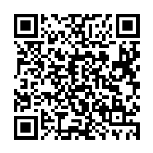 格里斯面对着海兽的单调的物理攻击不屑的撇了撇嘴二维码生成