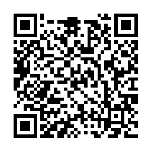 桀桀……看起来乔达摩的小宝贝们已经等不及了呢二维码生成