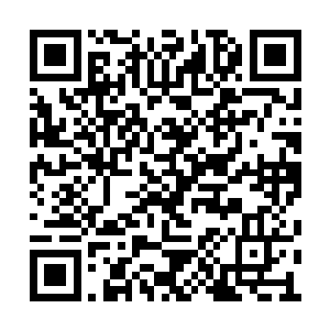 桀桀……难得这些强大神力真身肯走出神国……二维码生成