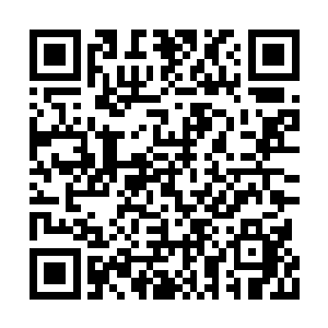 桂清宫里的桂花散发着如蜜般的香味却无蜂来彩二维码生成