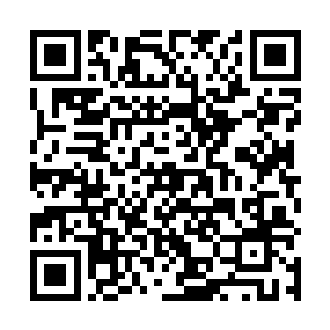 桃花双手捧着那段儿二尺多长的建木根茎仔细地探查着二维码生成