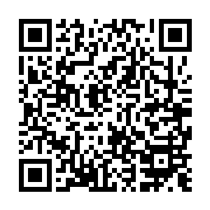 桃花等人所居住的星球已经扩张的和苍茫大陆一般大小二维码生成