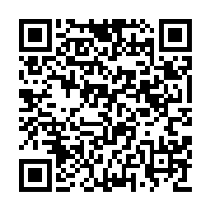 桃花脸上带着浅浅的微笑开始将茶壶等收拾起来二维码生成