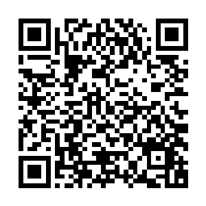 桌上摆着的七十余本账本簿册都已经用复式记账法整理完毕了二维码生成