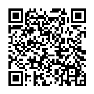 桌上有手快的瞧见他们那眼巴巴的样子便夹过来不少菜二维码生成
