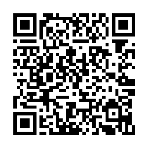 桌面上她这几天吃的什么方便食品也是该扔的扔二维码生成