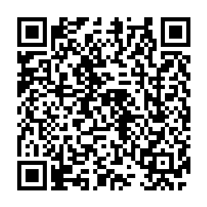 桑切斯先生　请问现在调查的怎么样了　到底是什么人來刺杀本王　二维码生成