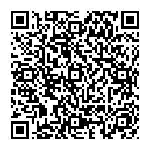 桑切斯面露愠色　不过好歹也是政府人员　这心机城府自然比这些所谓的贵族强的多　他讪笑了一下　说道　二维码生成