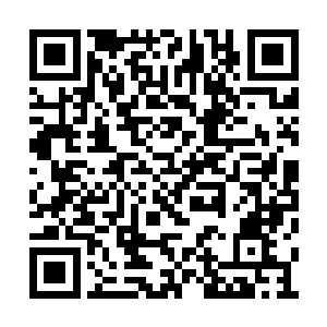 桑巴国的百姓超过一半希望能够维持现有的体制二维码生成