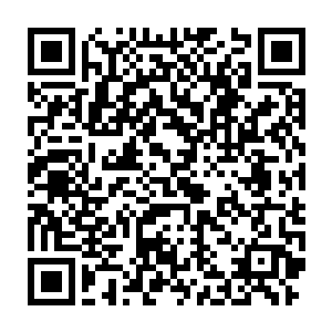 桑怜感受着心里的钝痛以及铺天盖地几近掩盖住理智的嫉妒与疯狂二维码生成