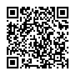 桑怜看着闵谌依旧温柔的侧脸却根本感觉不到他的温柔二维码生成