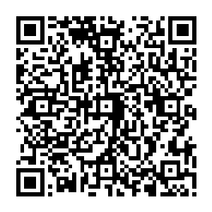 桑托斯的球员们也郁闷――我们应该能够赢下来的如果不是那个中国小子的话……二维码生成