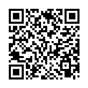 桑给巴尔群岛有一种动物叫做桑给巴尔豹二维码生成