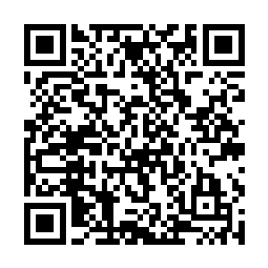 桥上名叫英毅的女子练气士则在疯狂汲取黄蛟的龙气二维码生成