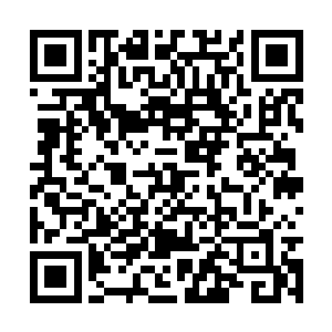 梁习把军中以及曹魏军当下所知的状况报与徐晃后二维码生成