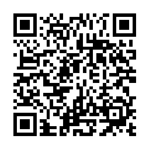梁医生就聚精会神的在显微镜下面观察着血液融合情况二维码生成