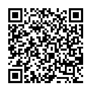 梁士诒才觉得那个自己惦记很久没得手的丫鬟没白送二维码生成