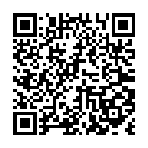 梁宽想要说谎都要掂量一下自己是否有说谎的资格二维码生成