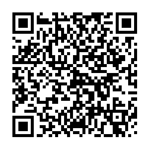 梁山泊这支由八十多艘大小海舶组成的征讨舰队碾压着黄海的浪涛二维码生成