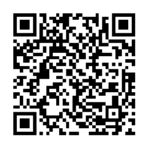 梁栋不知道他送饭来也是让炮兵们丧命的原因之一二维码生成