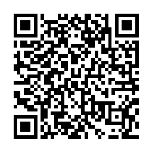 梁王孙要比街巷里的所有人对陈长生的剑意感知的更为真切二维码生成