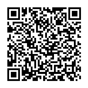 梁萌萌和西欢儿坚持要送苏小爱到山脚下……苏小爱想到昨天的事情二维码生成