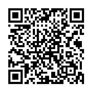 梁诚与蔡锷向着大总统与总理汇报了今天一天的谈判过程二维码生成
