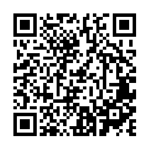 梁长老领着六位飞升修士已经清理了四分之一的水草二维码生成