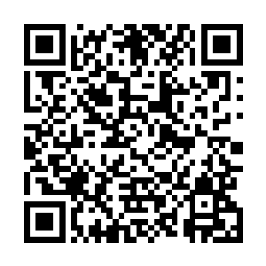 梅仙和楚枫当初听到陆军说自己是刀圣一脉的传人的时候二维码生成