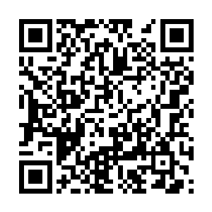 梅傲雪和程耀阁三个人炼制的丹药恐怕是强于自己二维码生成