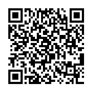 梅尔看着时不时张开嘴满口的那种肉食猛兽似的大牙二维码生成