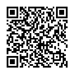 梅尔第一步要考虑的就是皮球是对波纹号的依赖感多一点儿二维码生成