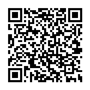 梅房东认为这是自己人生中最有眼光的一次决定二维码生成