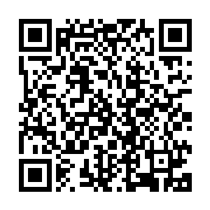 梅林夫人雍容华贵的美丽脸庞上虽然已经留下些许岁月的痕迹二维码生成