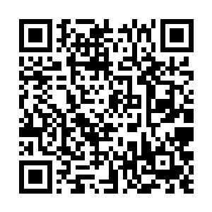 梅林是没有时间也没有心情了解每一位魂魄的故事的二维码生成